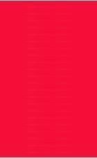 全红背景,全红背景下的辉煌篇章”