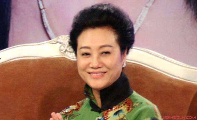 王丽云八卦,揭秘娱乐圈背后的故事