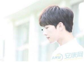 梦见喜欢的男明星,揭秘我与心仪男明星的浪漫邂逅