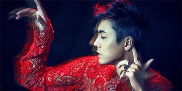 K的明星,揭秘偶像背后的故事与辉煌