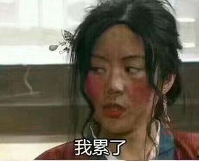 闫妮 表情包,笑点满满，暖意融融的欢乐源泉